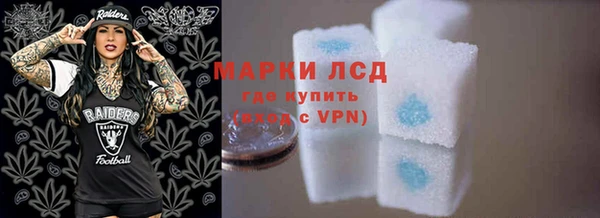 трава Гвардейск