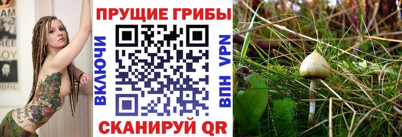 Псилоцибиновые грибы мухоморы  Ипатово 