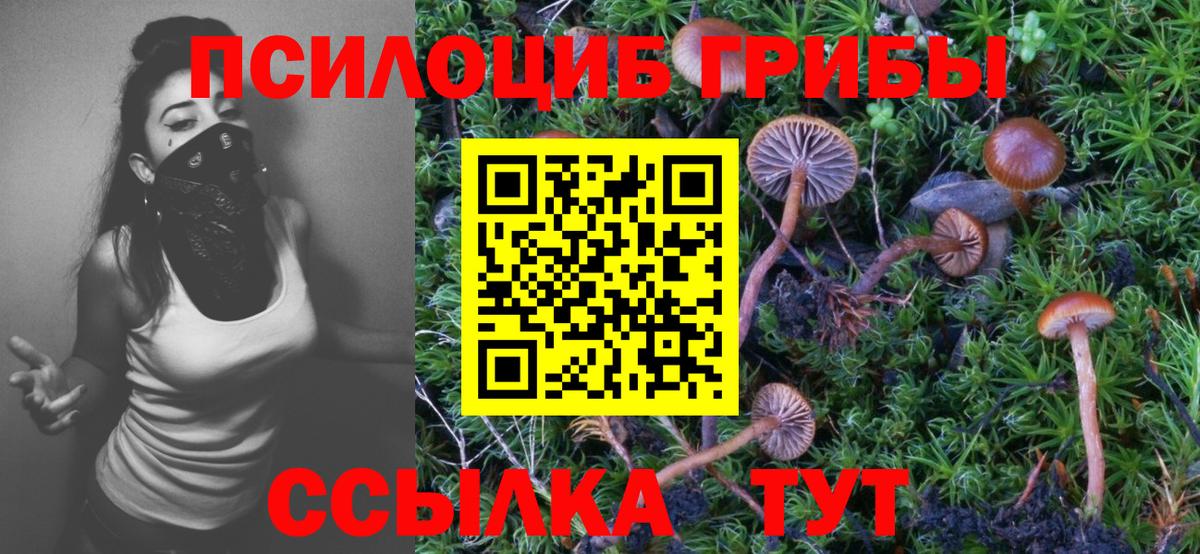 Ипатово  Галлюциногенные грибы Psilocybe  Вход с VPN  Галлюциногенные грибы Psilocybe 